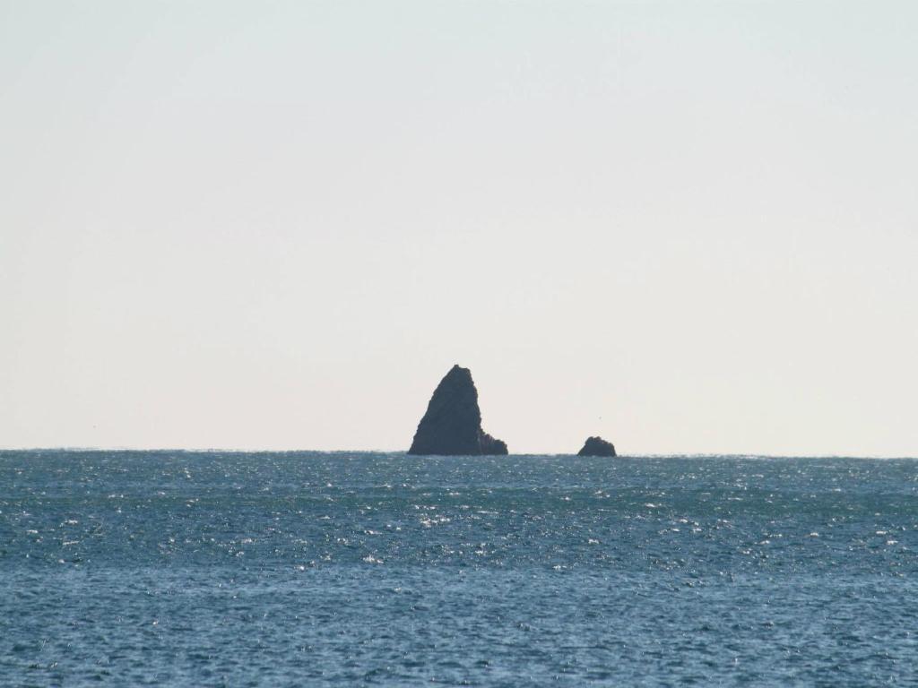 Apartments Galija Petrovac ภายนอก รูปภาพ