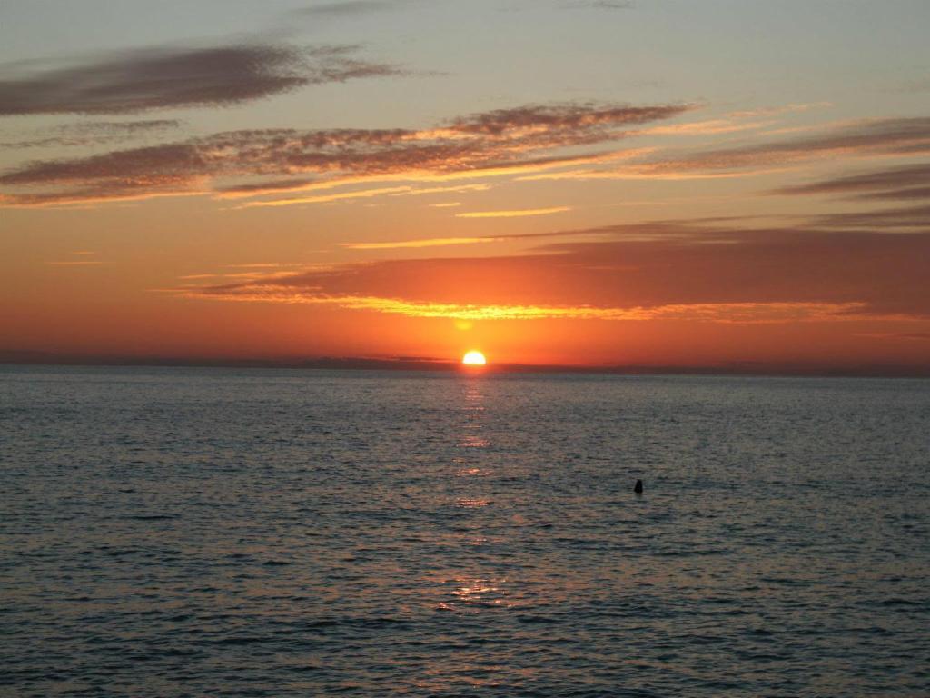 Apartments Galija Petrovac ภายนอก รูปภาพ